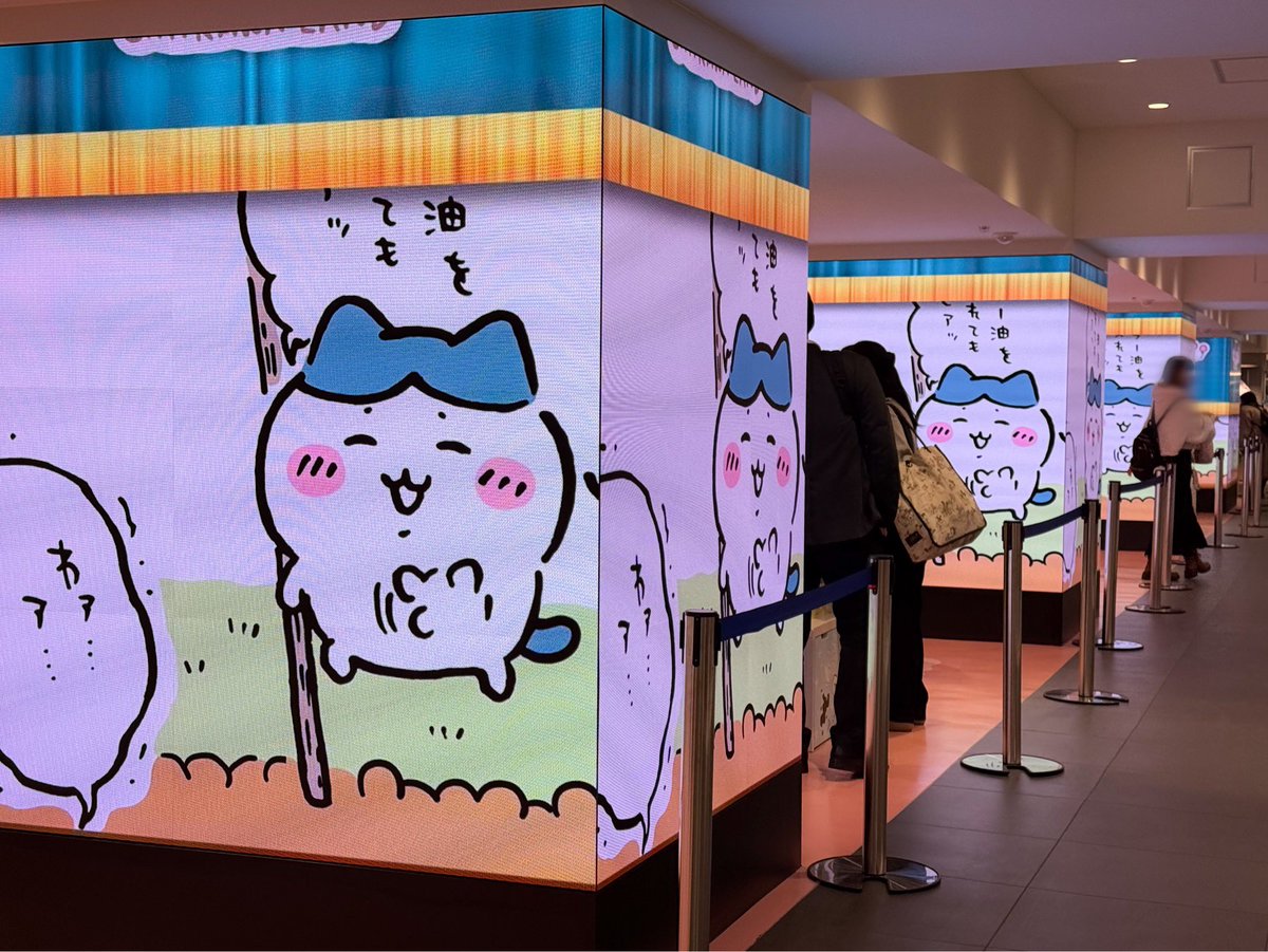 ꧁かあや꧂ tweet media