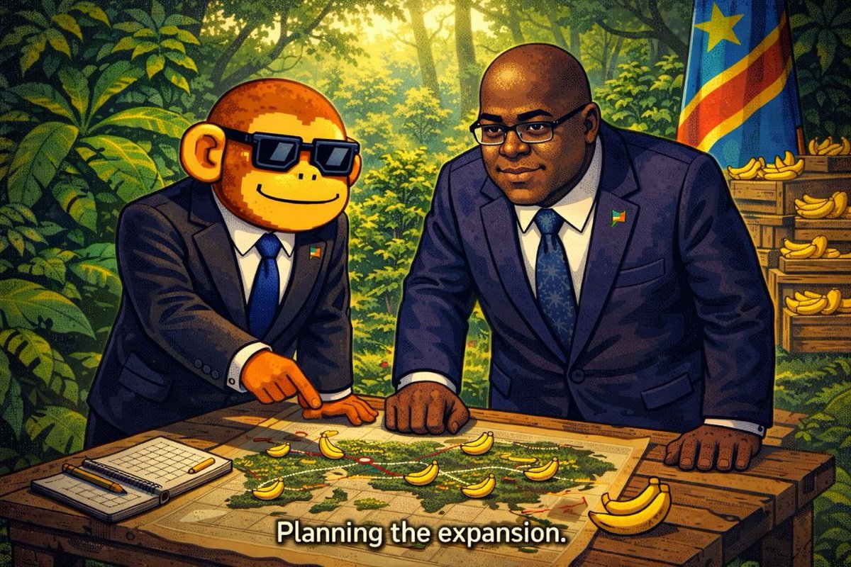 MONKO 🐒 tweet media