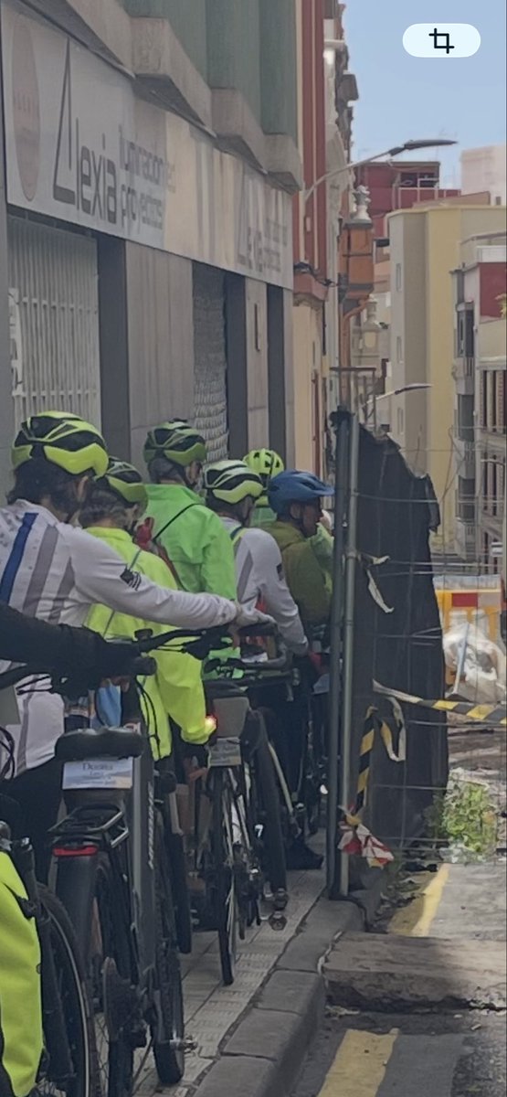 miss gelu tweet media