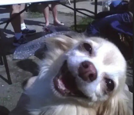 naominootnoot's tweet image. whewww i am feeling SO refreshed, just worked out + cleaned my room + showered i am #ready for the day