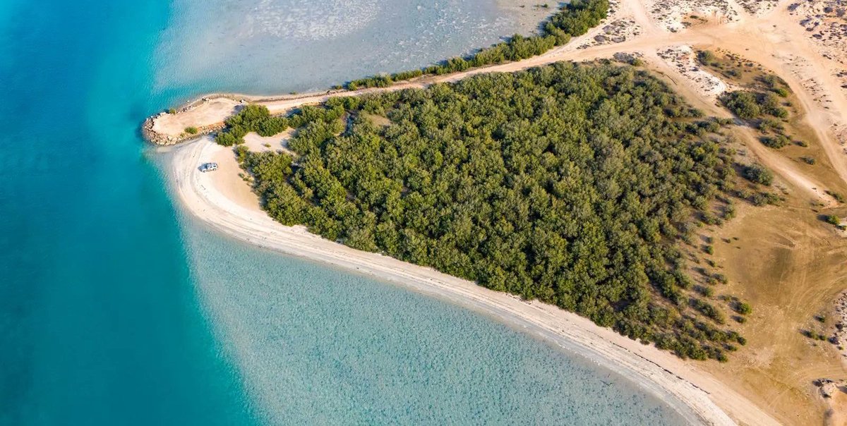 تـسـار tweet media