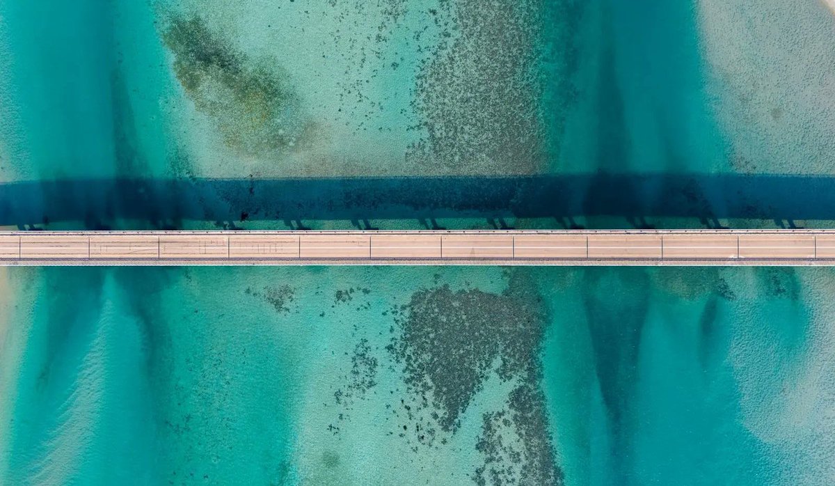 تـسـار tweet media