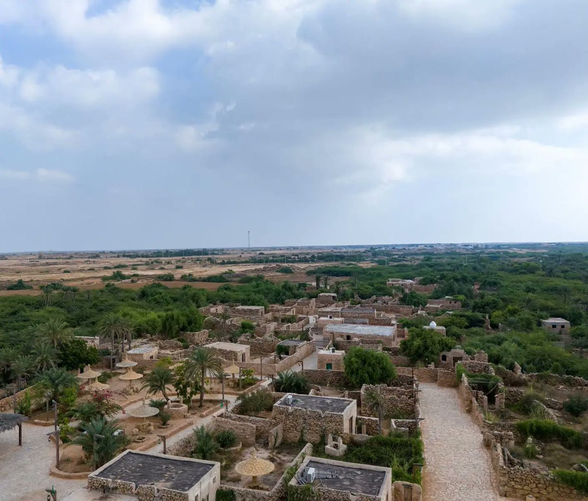 تـسـار tweet media