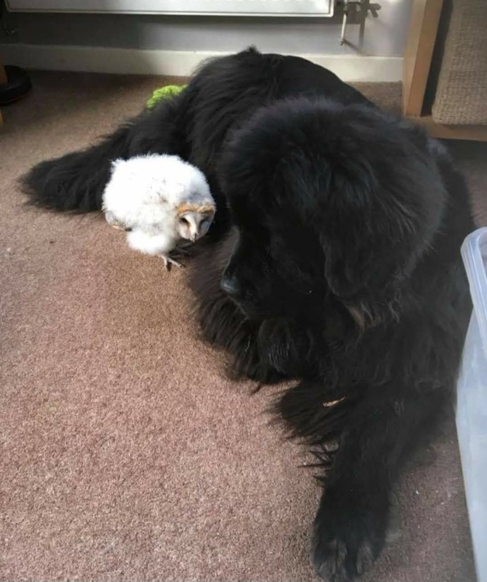 Murray & Friends tweet media