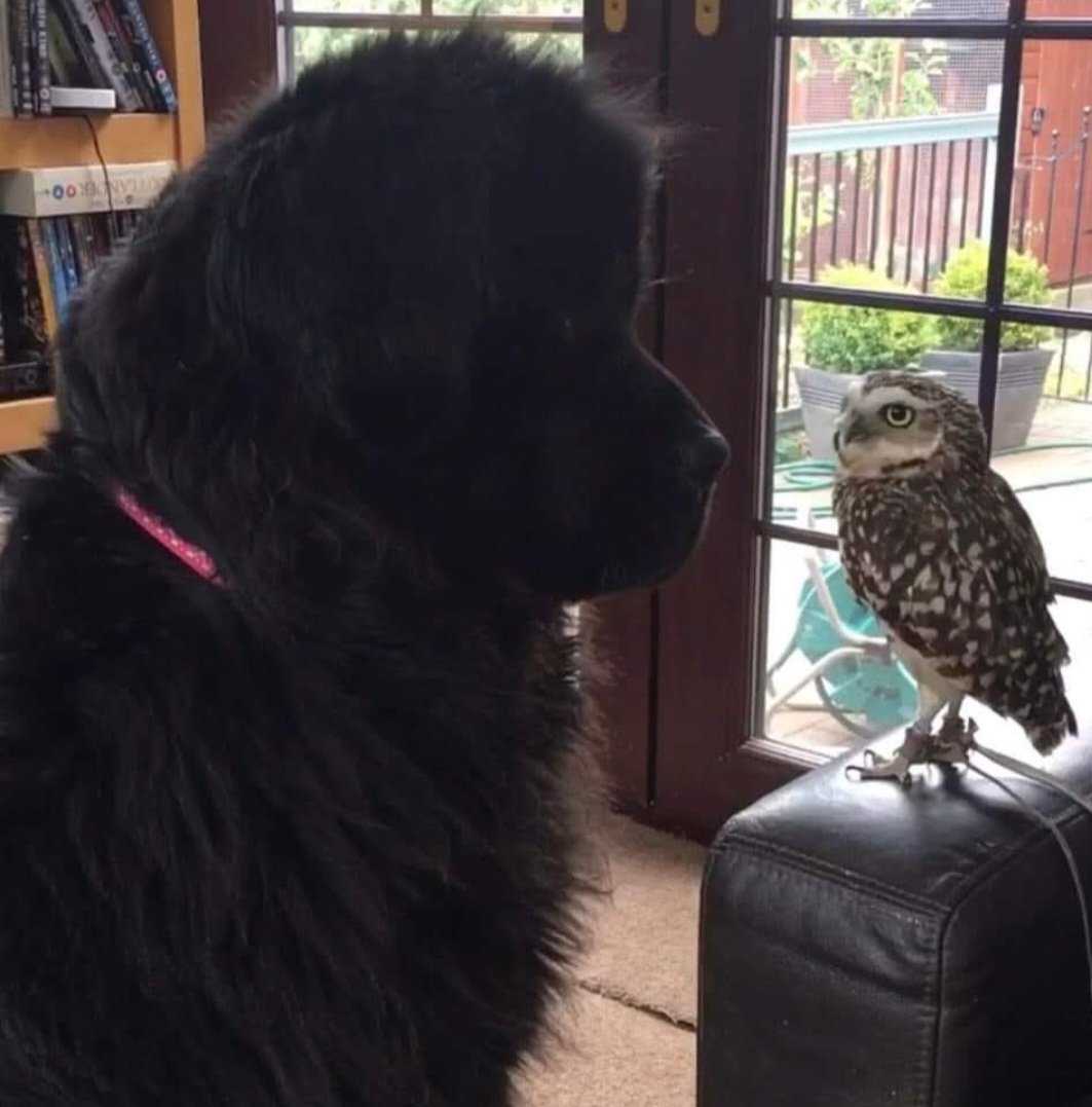 Murray & Friends tweet media