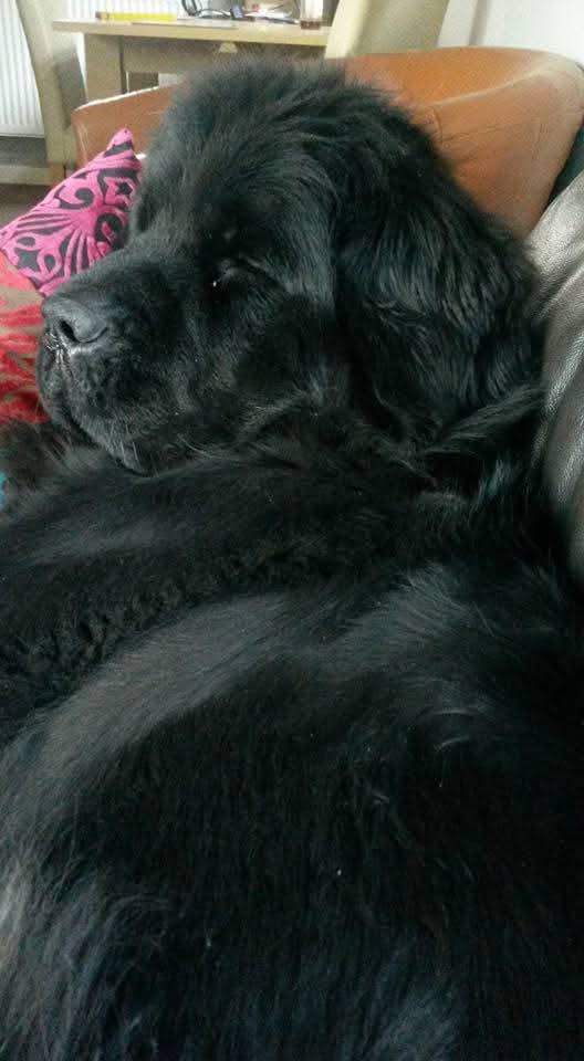 Murray & Friends tweet media