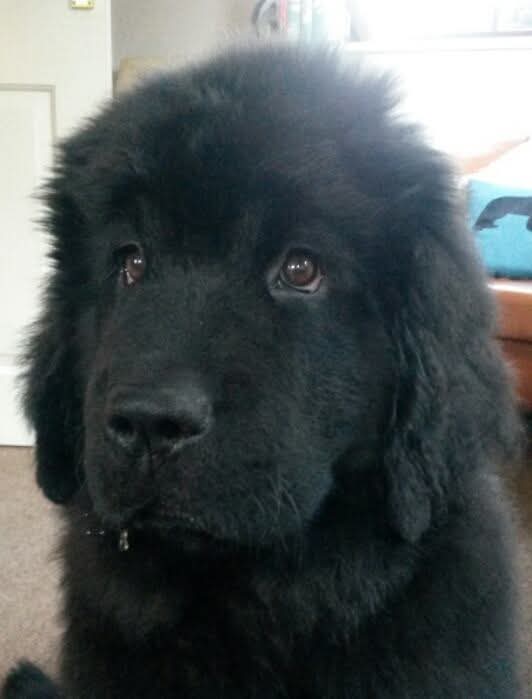 Murray & Friends tweet media