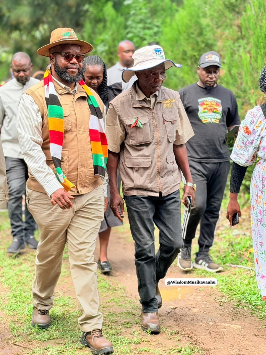 Wisdom musikavanhu tweet media