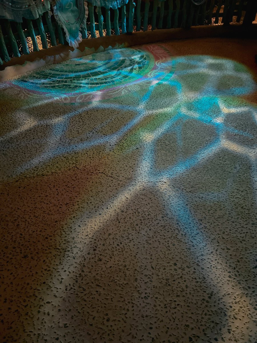 きゅうまりん🍋 tweet media