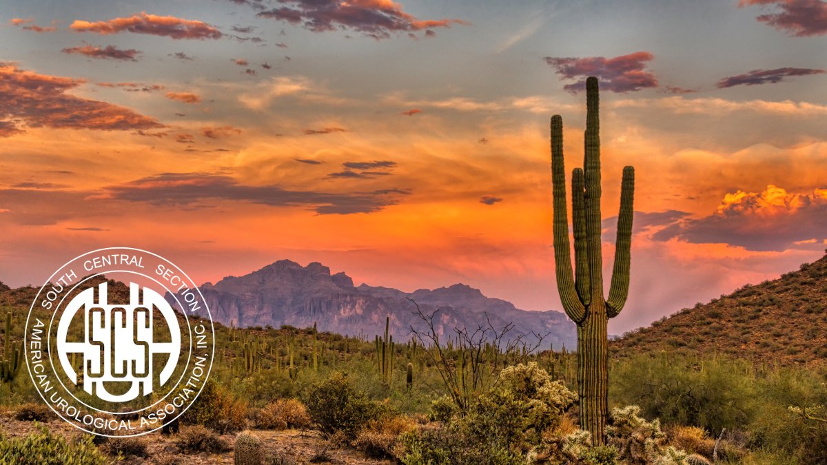 South Central Section of the AUA tweet media