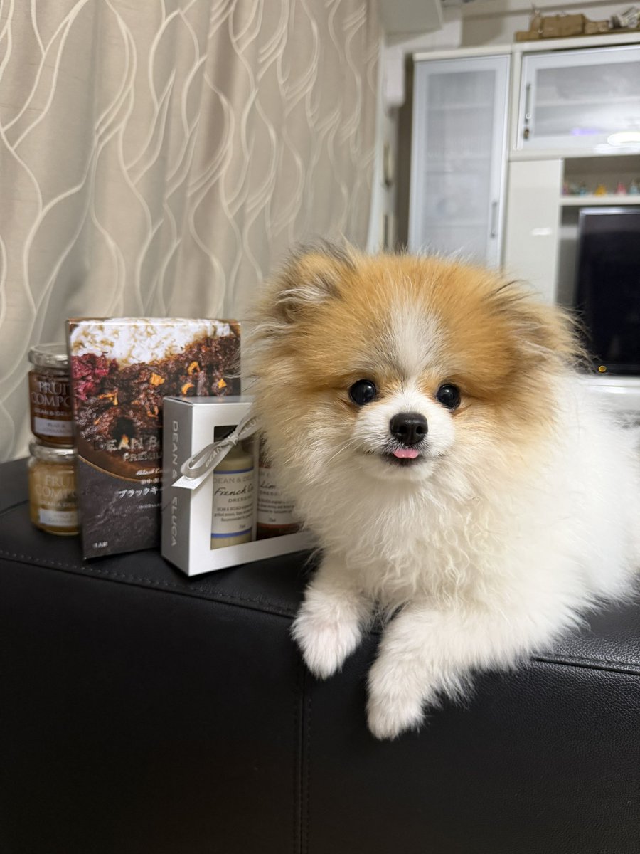 とっしぃ(コナ&ハニー) tweet media