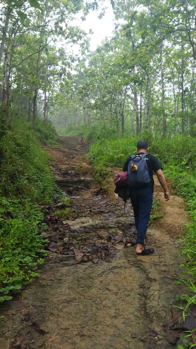 rumput bergoyang tweet media