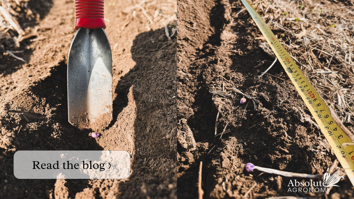 Absolute Agronomy tweet media