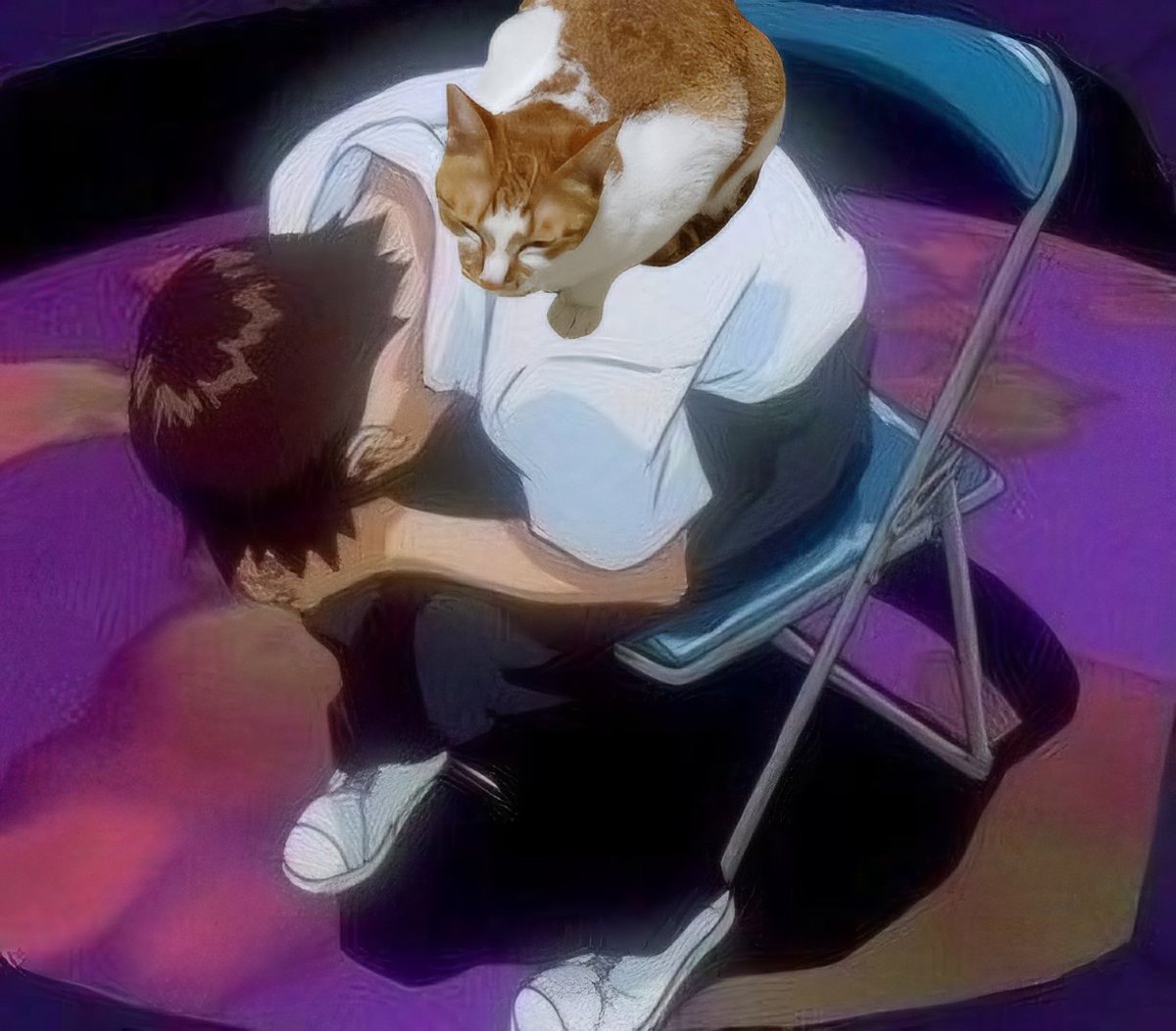 탱자(냥이) tweet media