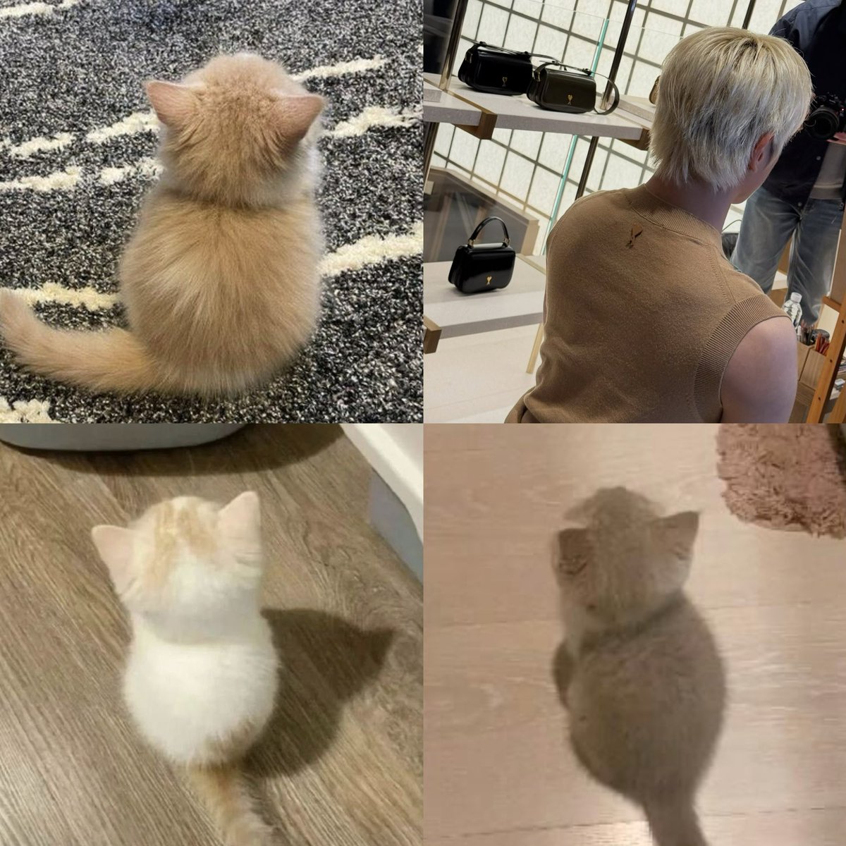 ariayong tweet media