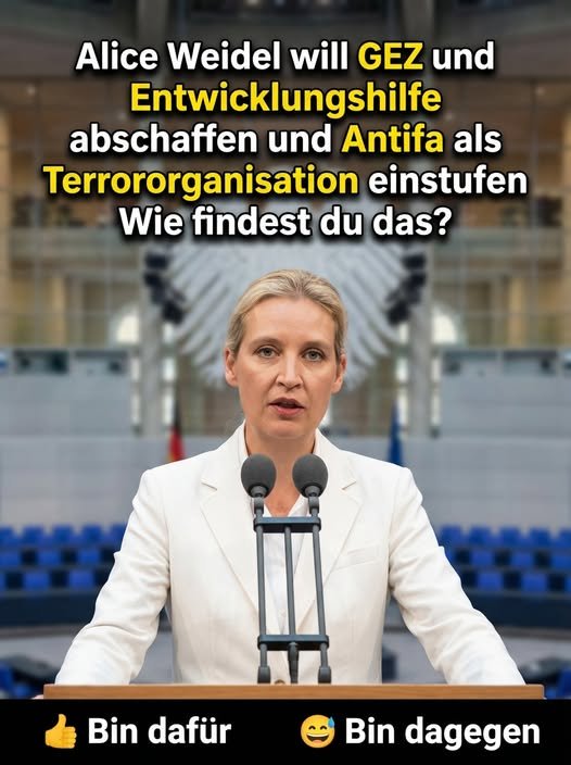 Maria Maier🇩🇪 tweet media