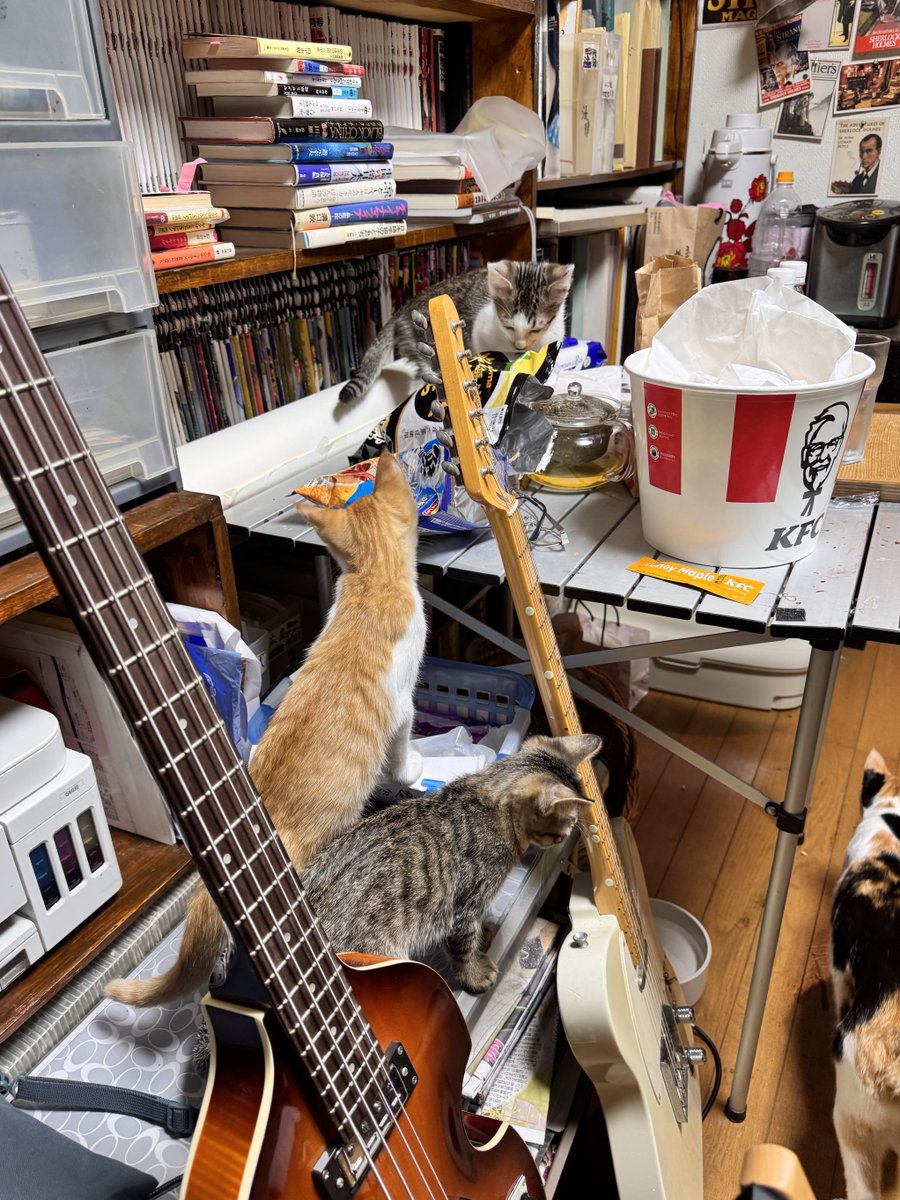 鈴木智彦／SUZUKI TOMOHIKO tweet media