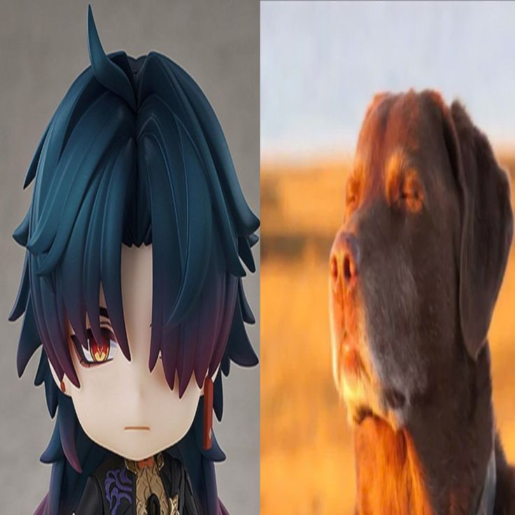 💢🐦‍🔥 Cinni 🍁 Hiatus tweet media