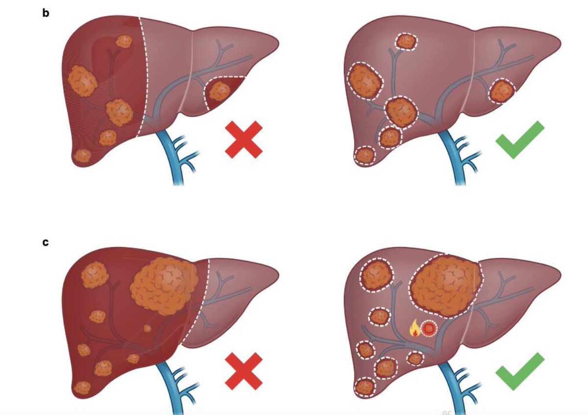 Julie Hallet tweet media
