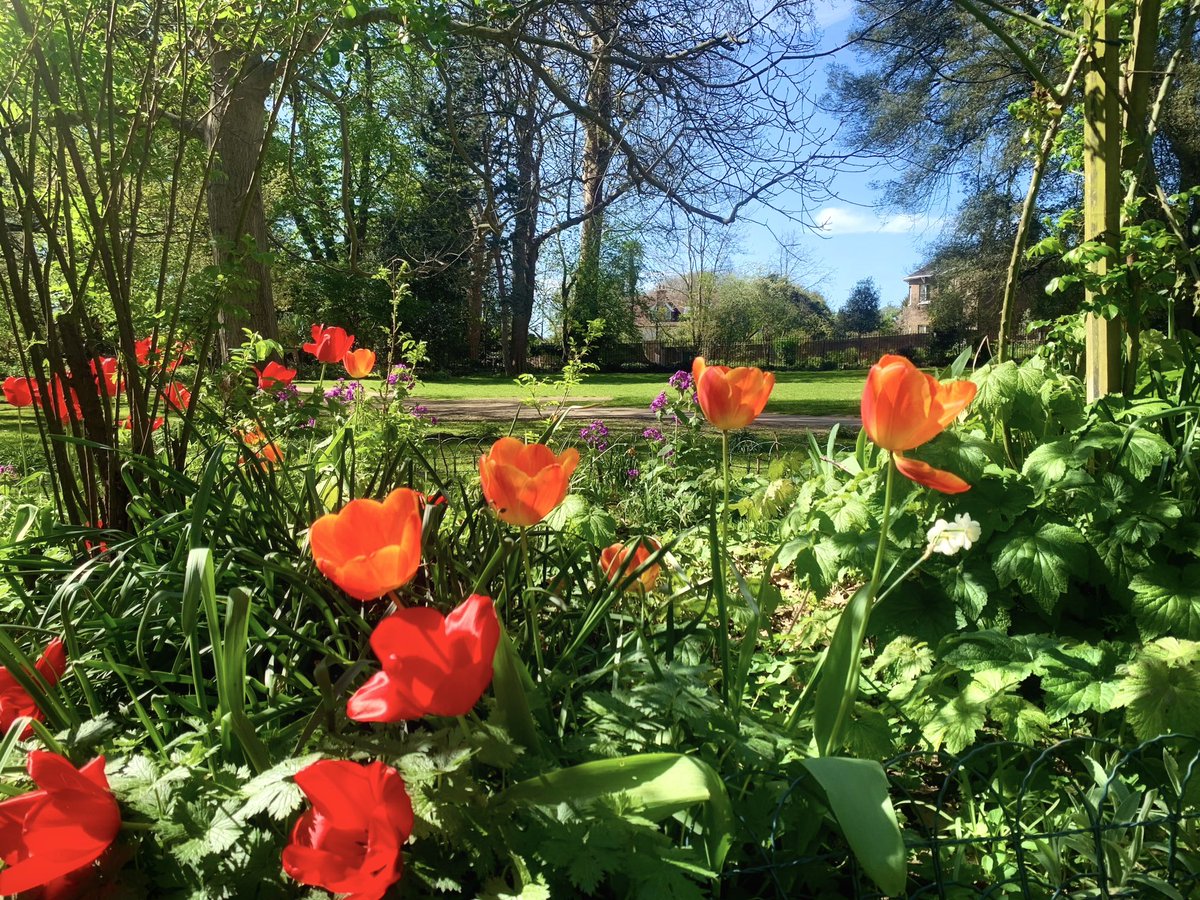 Ruth Wadey tweet media