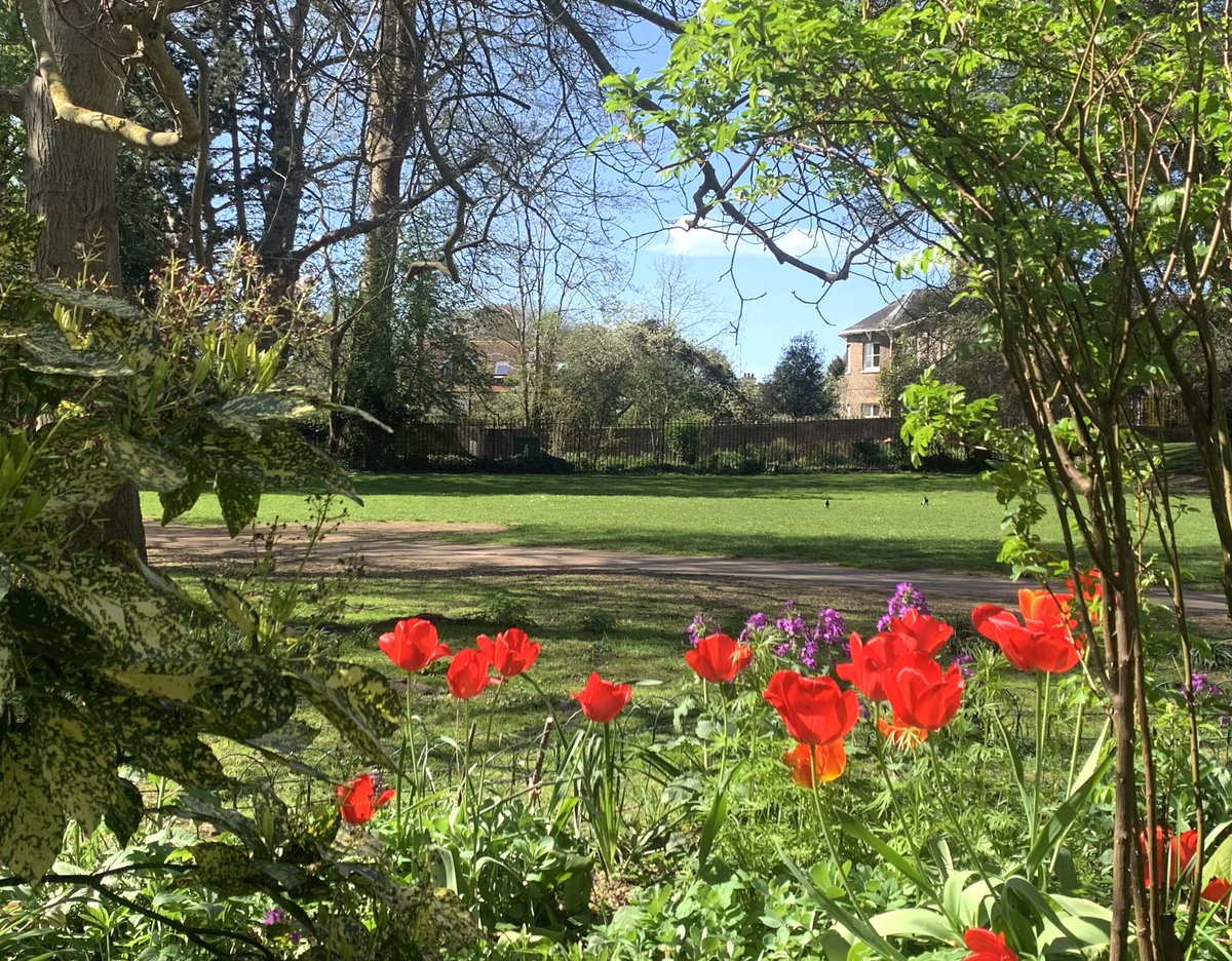 Ruth Wadey tweet media