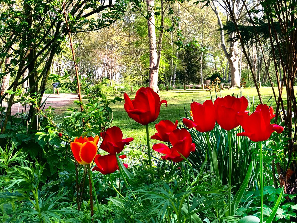 Ruth Wadey tweet media