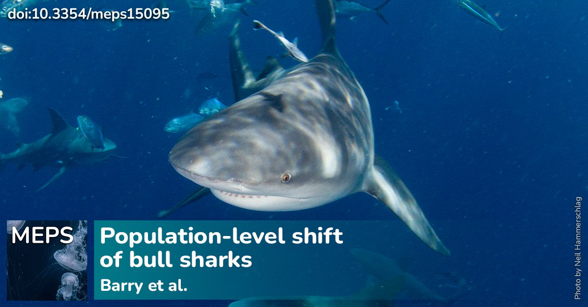 Marine Ecology Progress Series (MEPS) tweet media