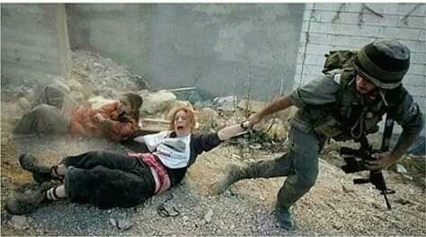 Mohammed's Relief Projects✌️🇵🇸✌️ tweet media