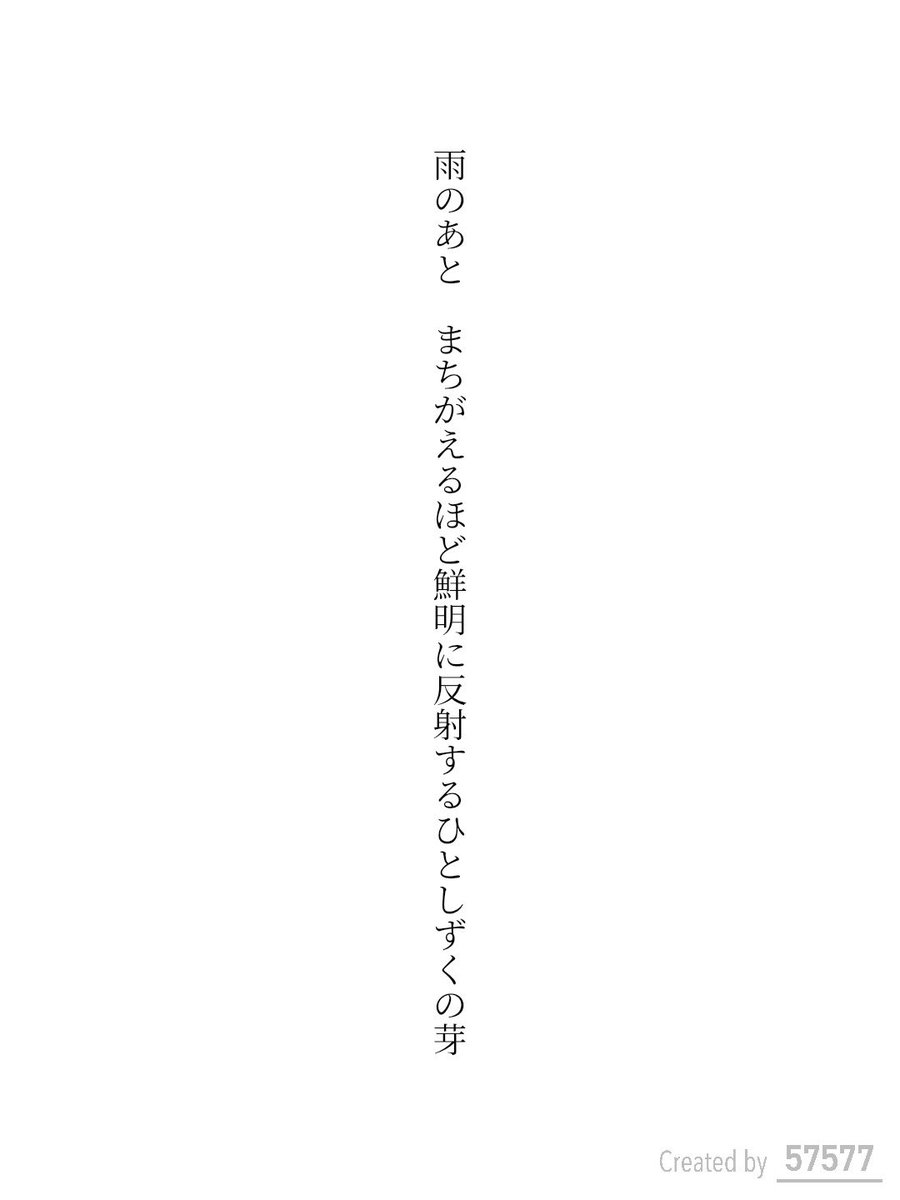 noraneko tweet media