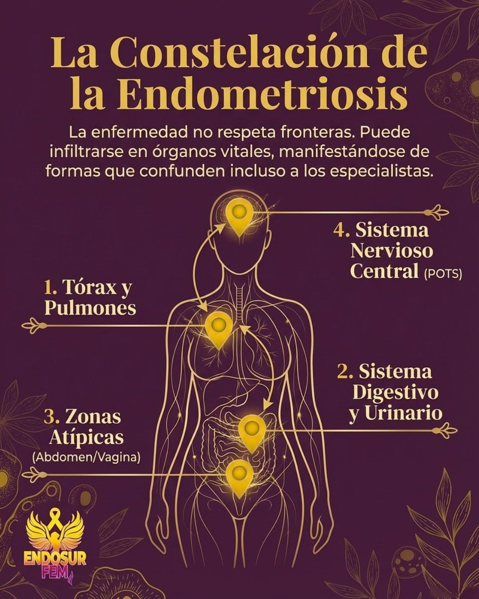 Endosur Fem tweet media