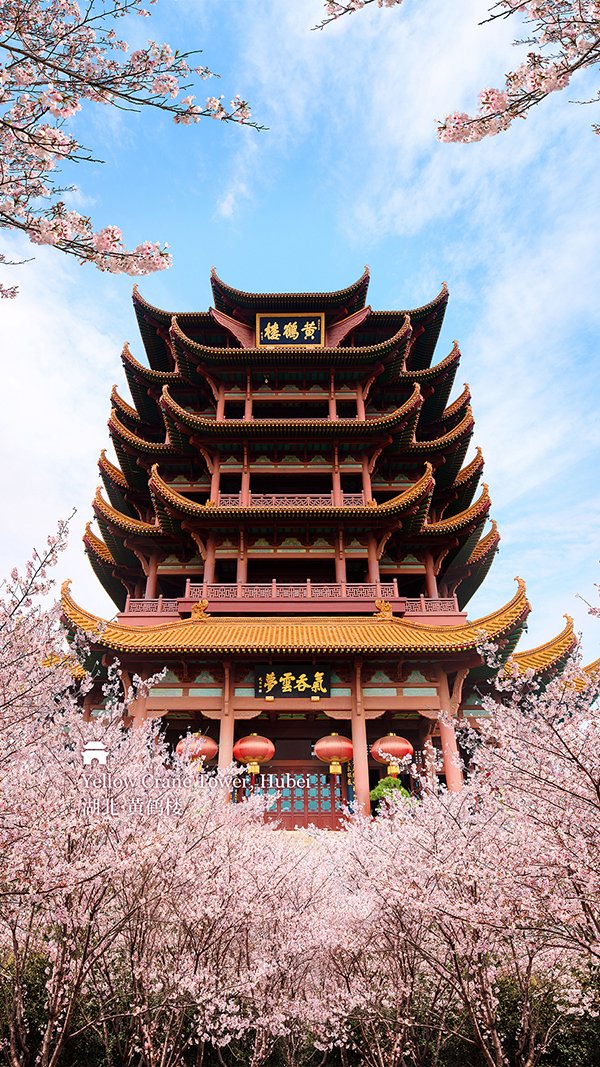 WuhanPlus's tweet image. #Spring blossoms frame the iconic Yellow Crane #Tower in #Wuhan. Originally built in the Three Kingdoms (220-280) era and rebuilt multiple times over the centuries, the tower has been celebrated by generations of poets. [Photo: China Bound] #sakura #cherryblossom