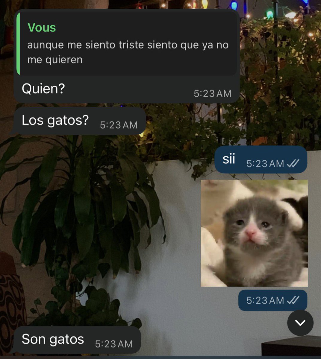 angiembaa's tweet photo. realmente estoy muy mal porque no se han dormido conmigo desde hace 3 dias https://t.co/AwZfSCcLp1