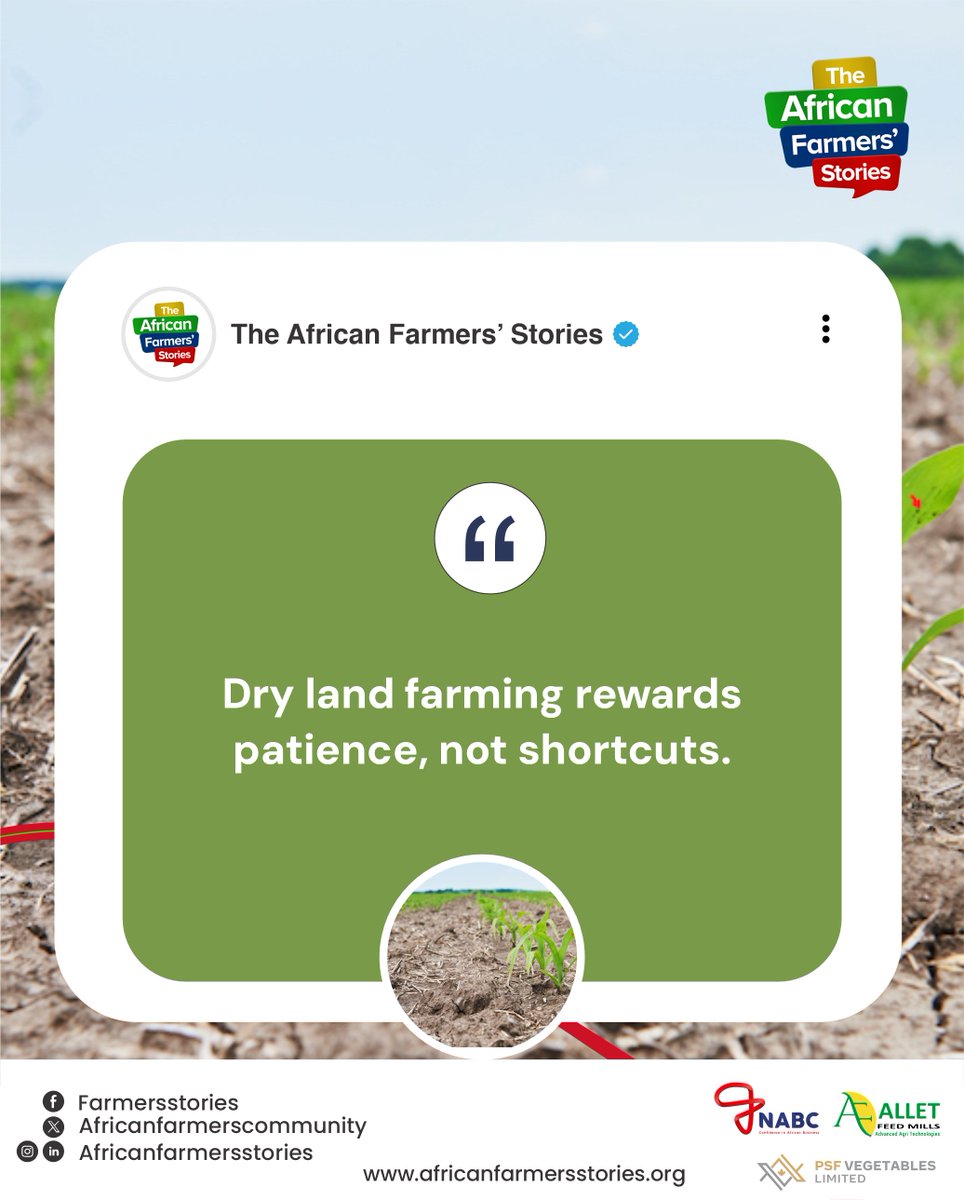 African Farmers Stories tweet media