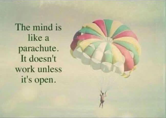 DD Young tweet media