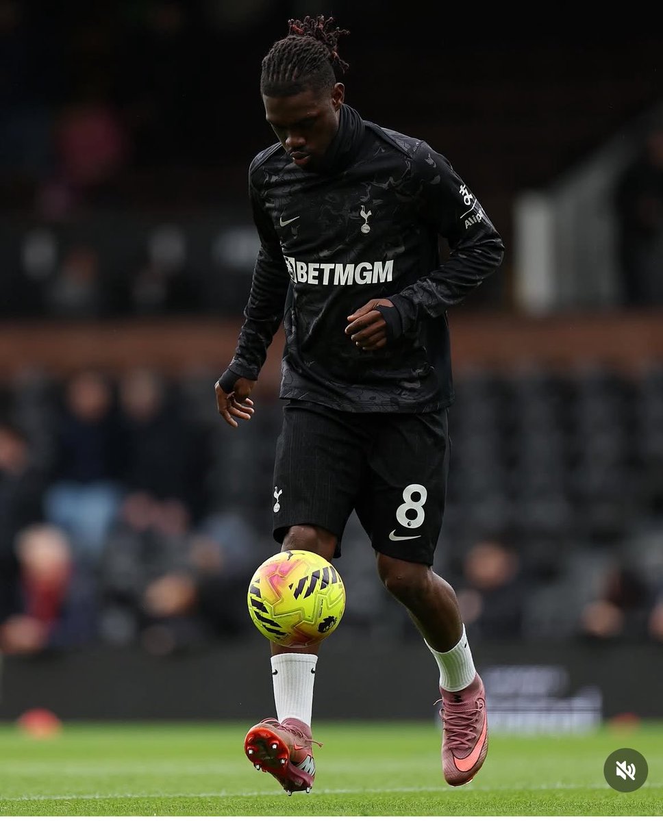 Lilywhite Rose tweet media