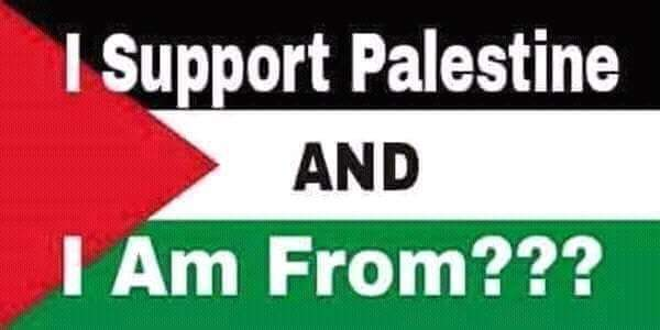 Naila Ayad🇵🇸 tweet media