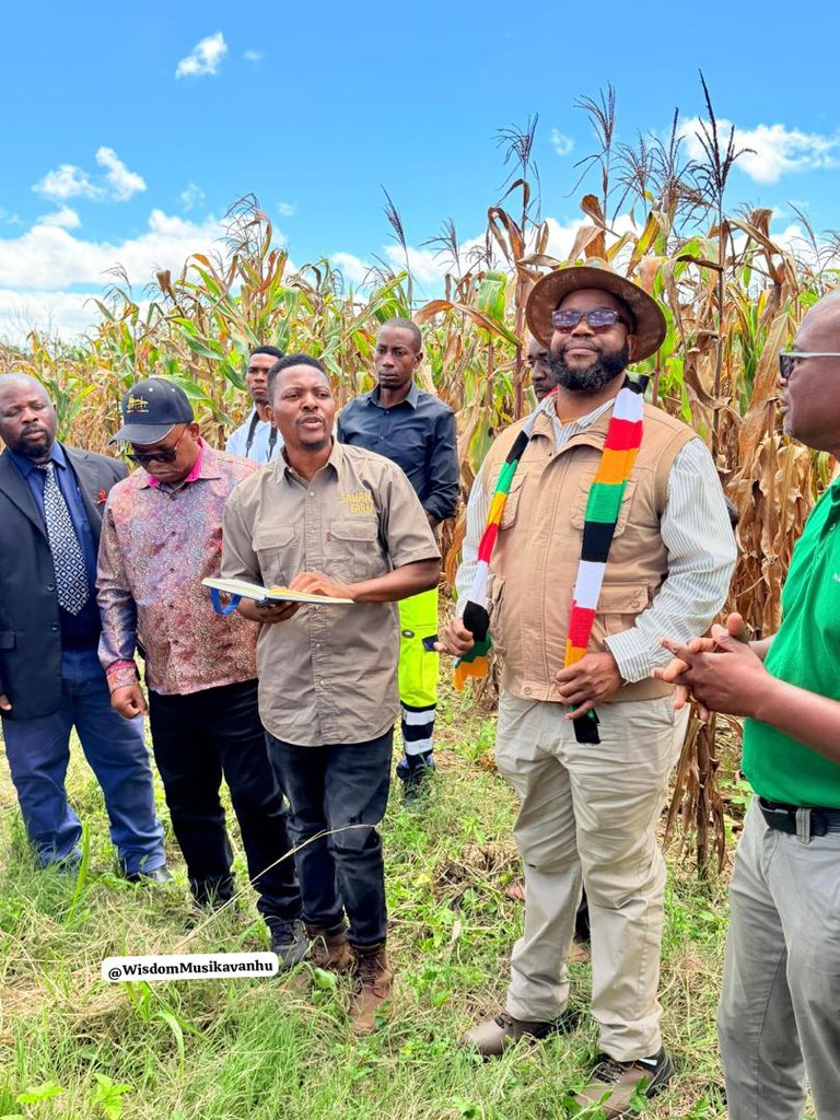 Wisdom musikavanhu tweet media