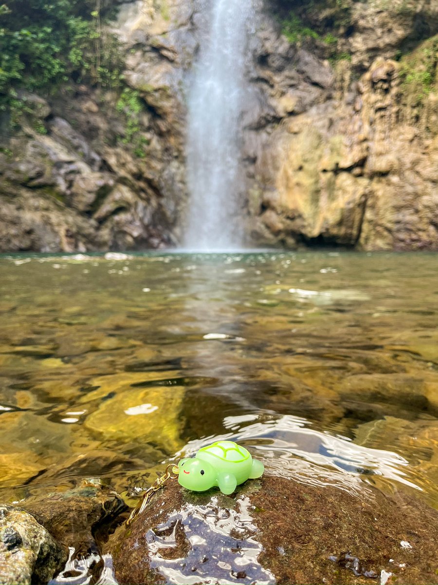 fruittbboi's tweet photo. A reminder to pause, breathe, and just be you. https://t.co/T6x1sBlfhb