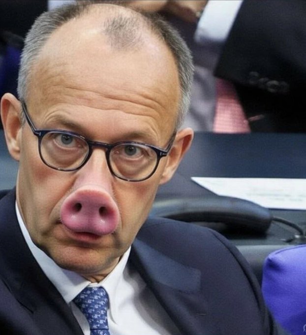 Timo Krievs tweet media