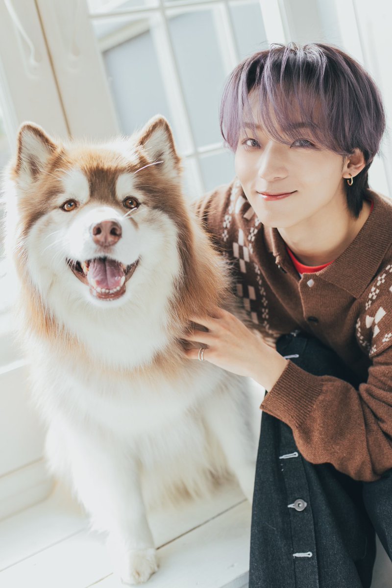 月刊わんこ編集部 tweet media