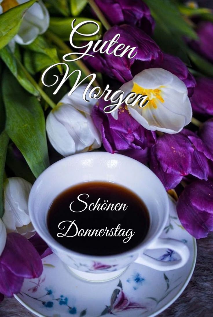 Nicholas Kocis tweet media