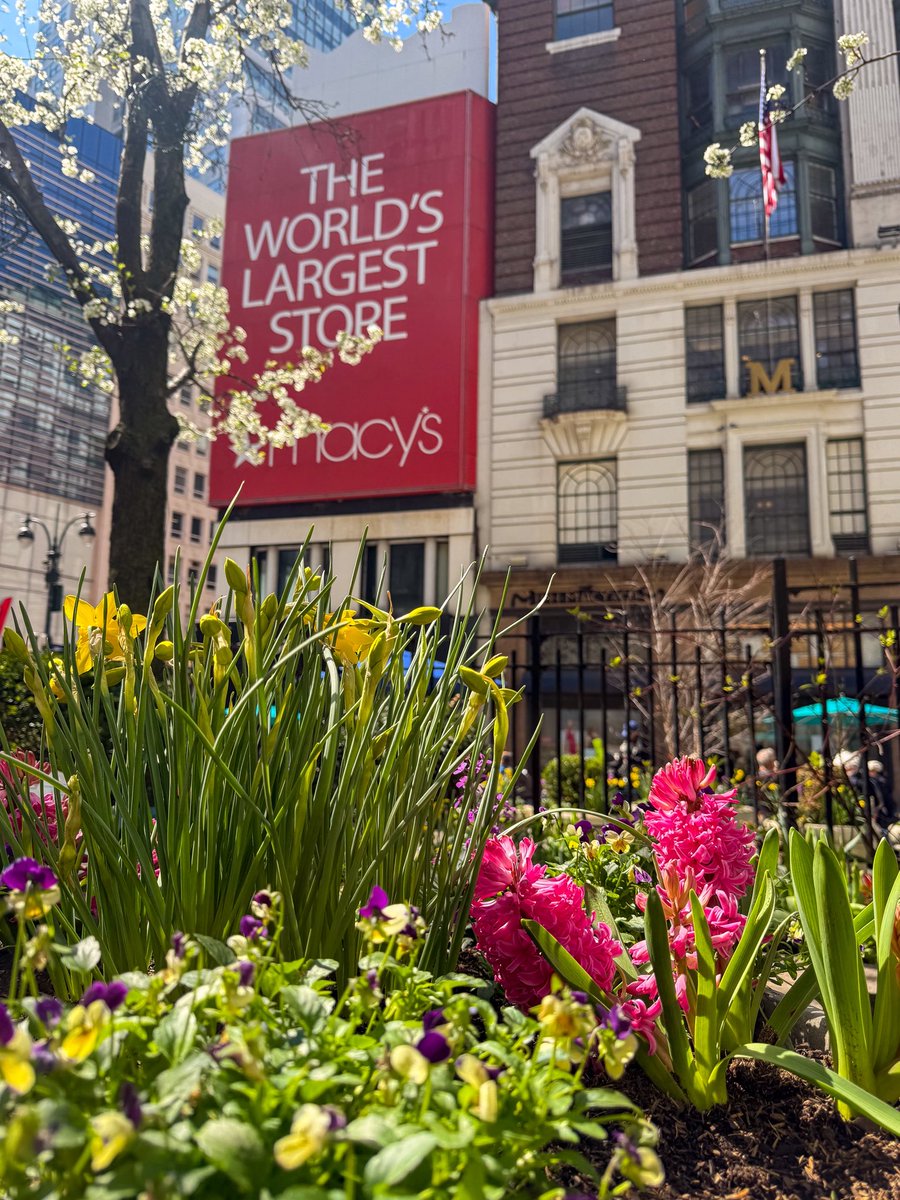 34th Street tweet media