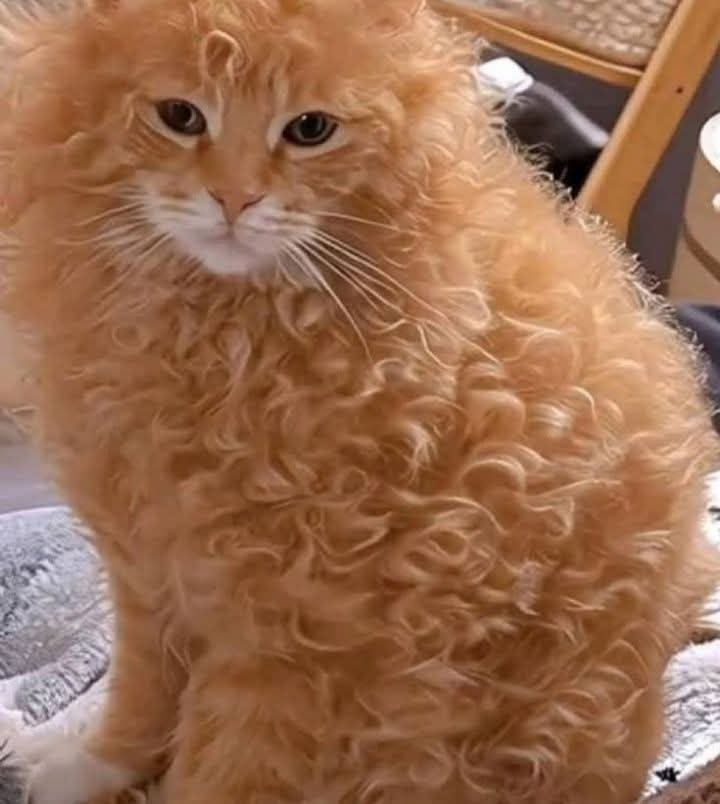 Mary 🕊️ tweet media