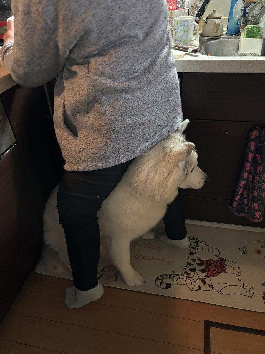Franone_1005's tweet photo. おもしろいことになっている https://t.co/82vIp64TSn