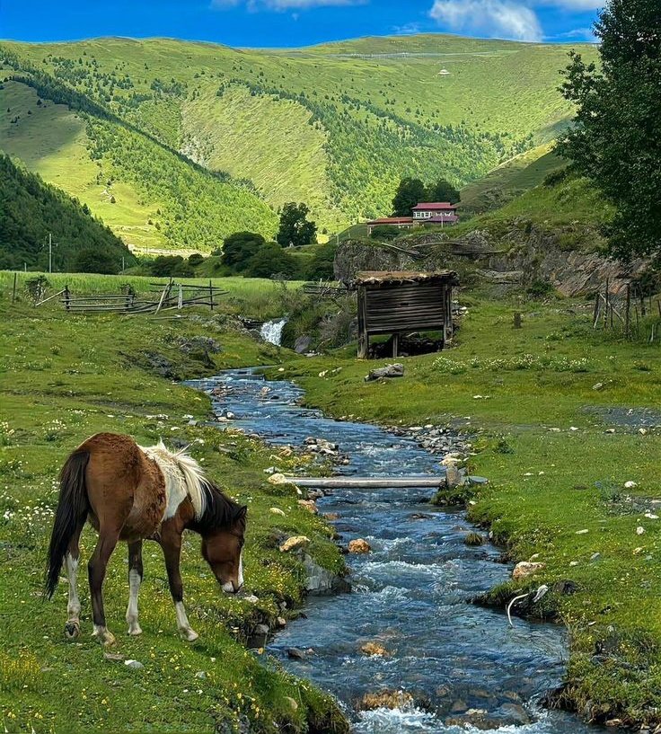 Vibrant Aesthetics tweet media