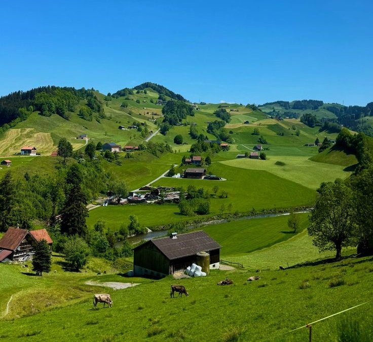 Vibrant Aesthetics tweet media