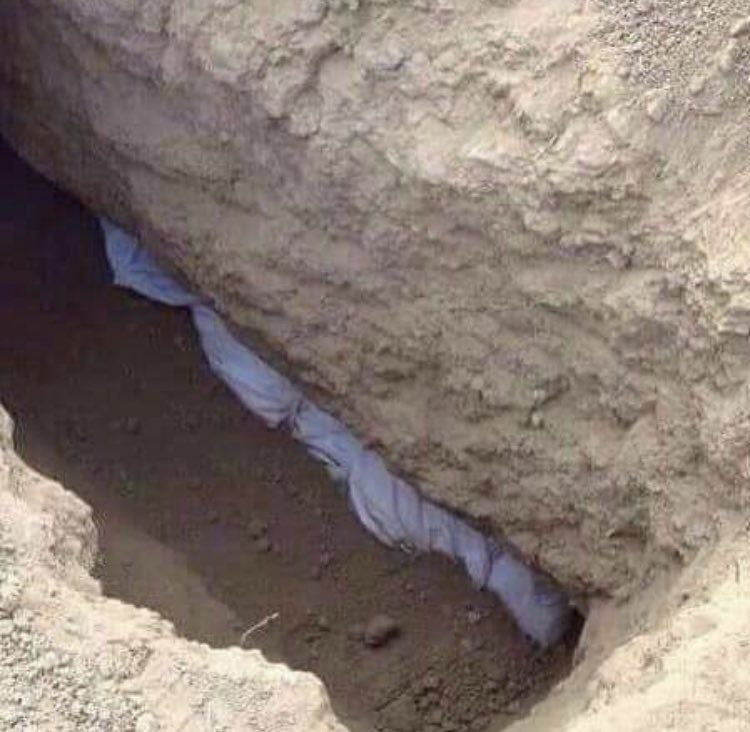 جوآهِرُ العِلمِ ¬ tweet media