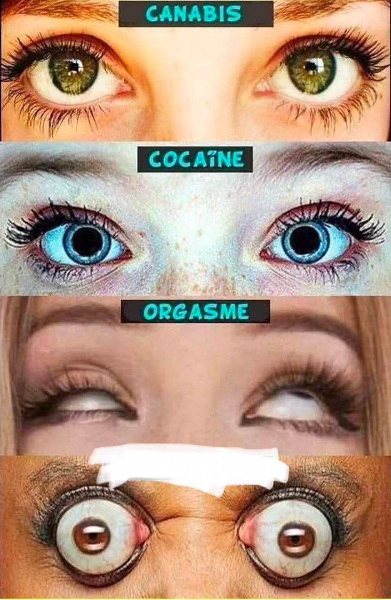 super connard 2.0 667K tweet media