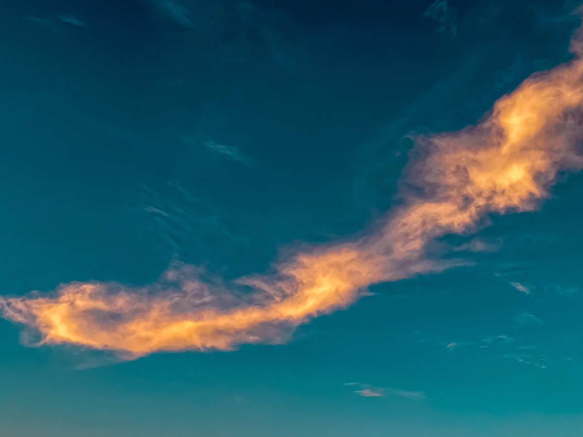 Agar Hawk tweet media