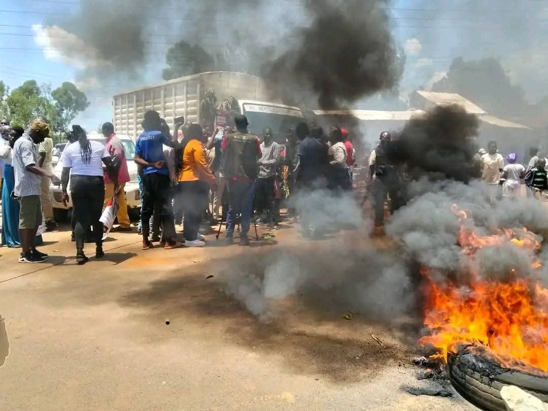 Wilson tweet media